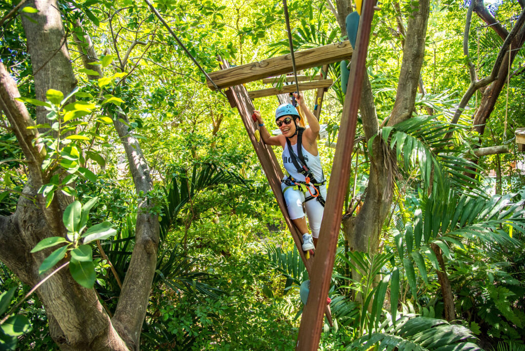 About Treetop Trekking Miami